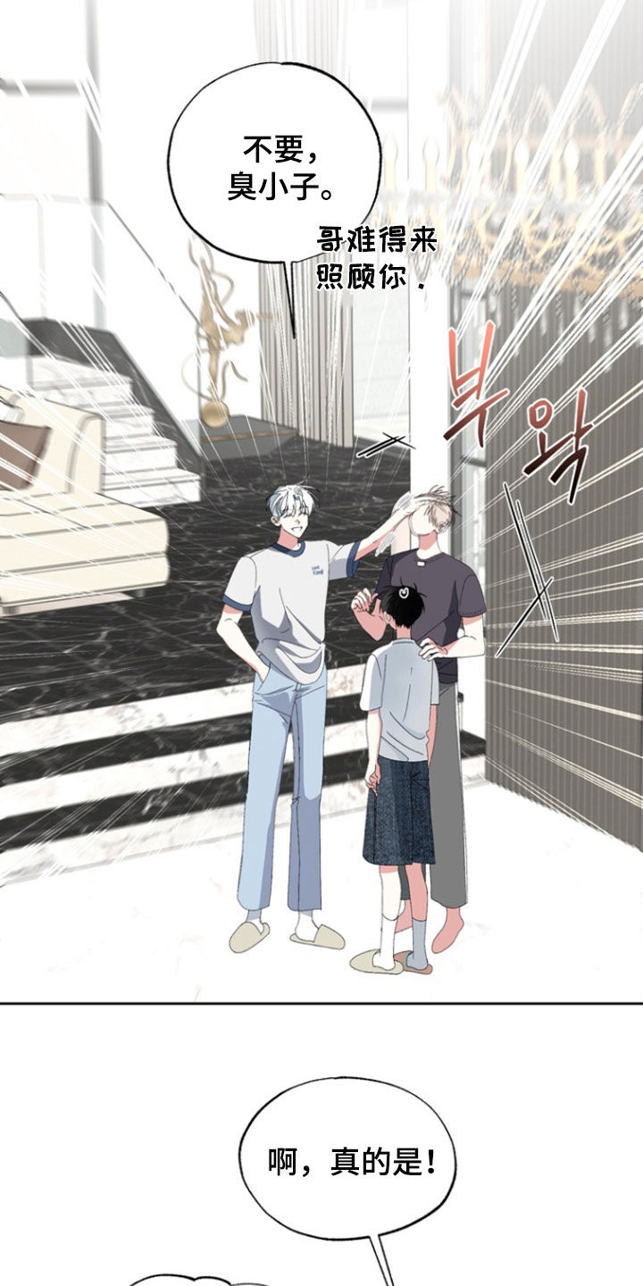 我的老鼠学长漫画免费阅读下拉式古风漫漫画,第20章：要我帮你吗2图