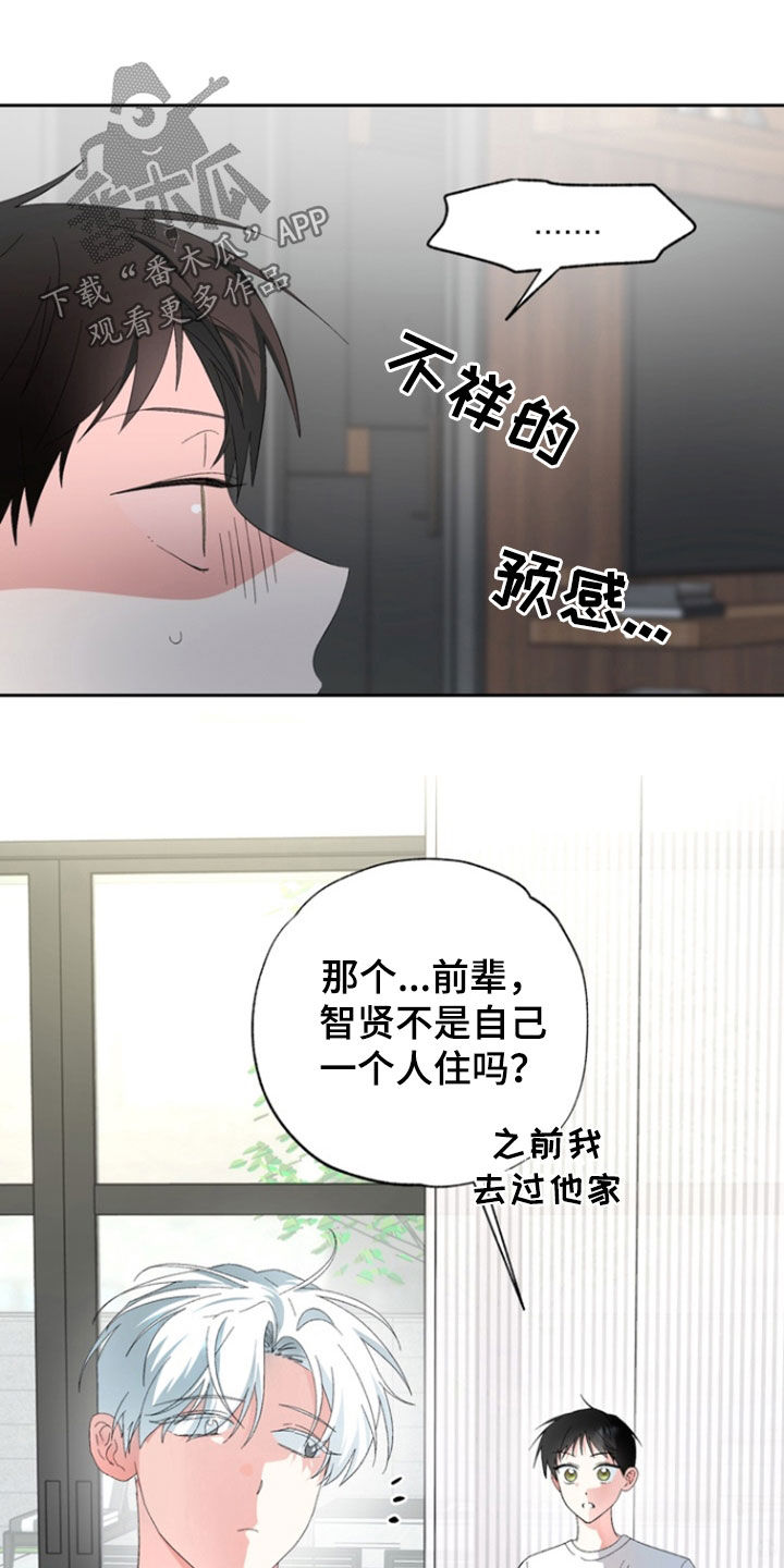 我的老鼠学长经典片段漫画,第19章：你不是喜欢我吗4图