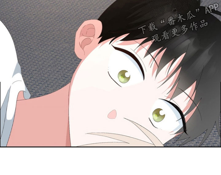 第21章：放开我0