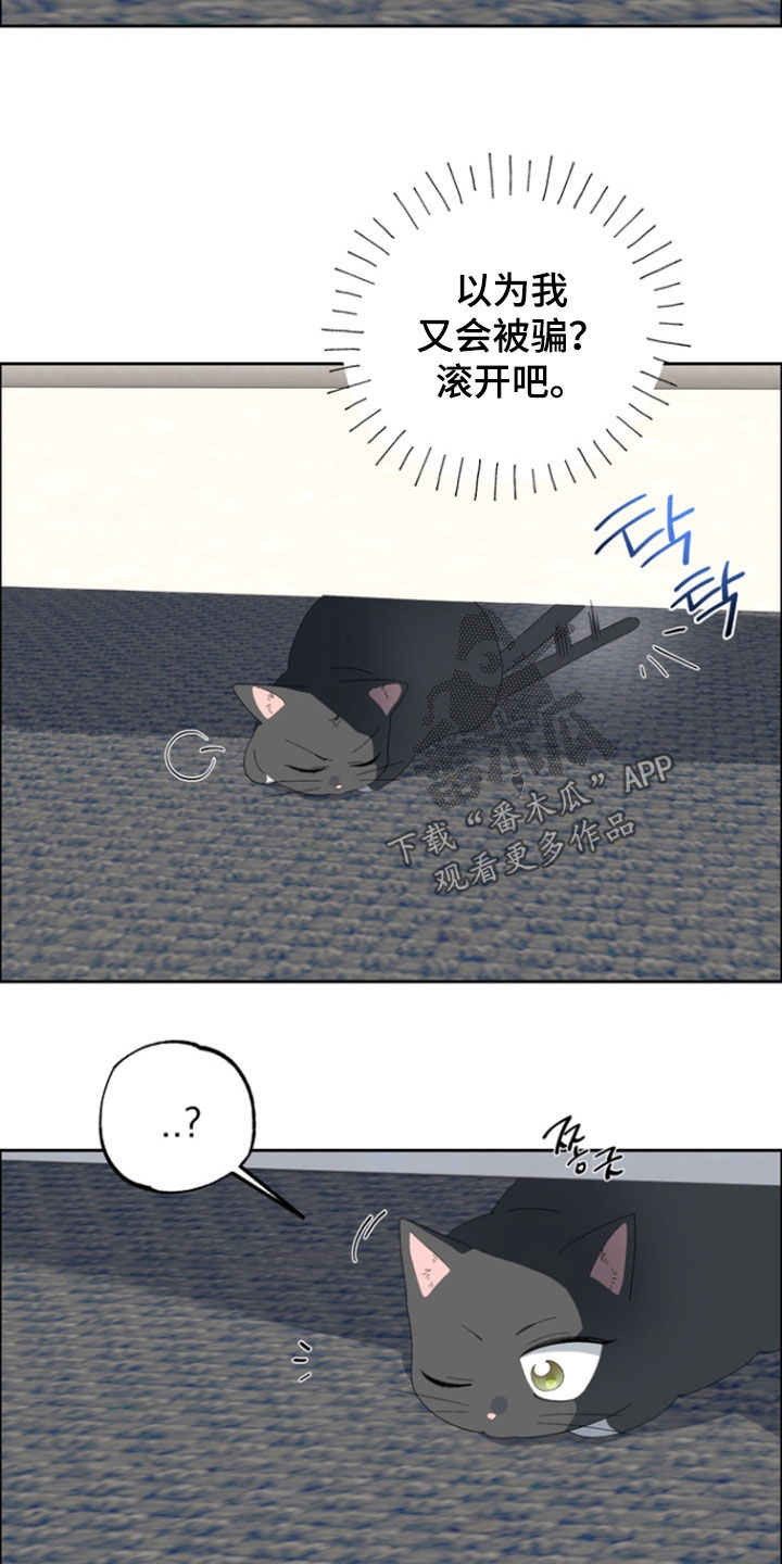 第21章：放开我4