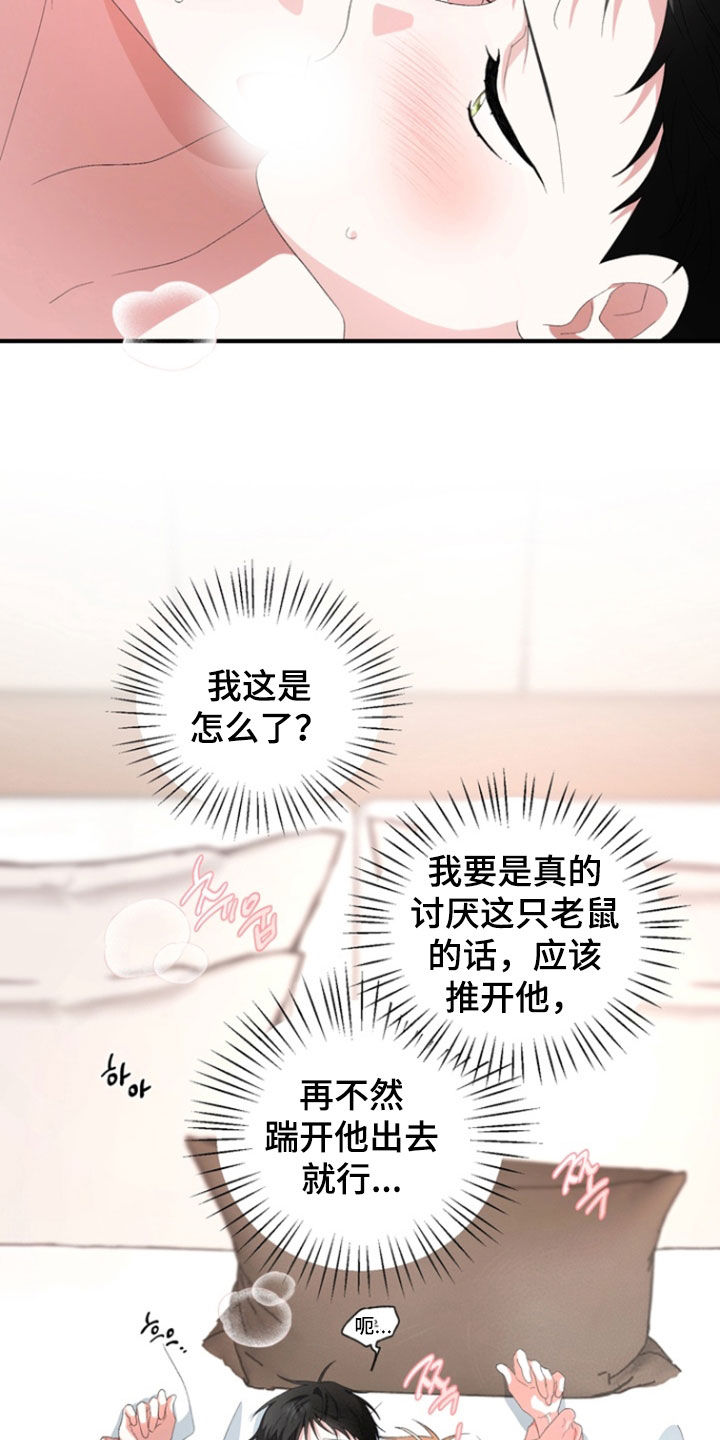 我的老鼠学长漫画,第23章：不要过来2图