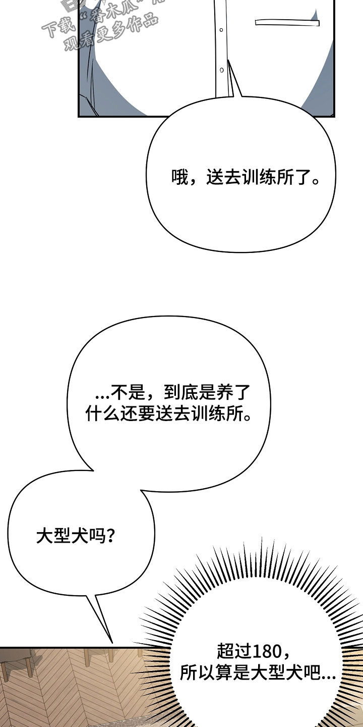 顶线犯规漫画,第68章：连胜5图