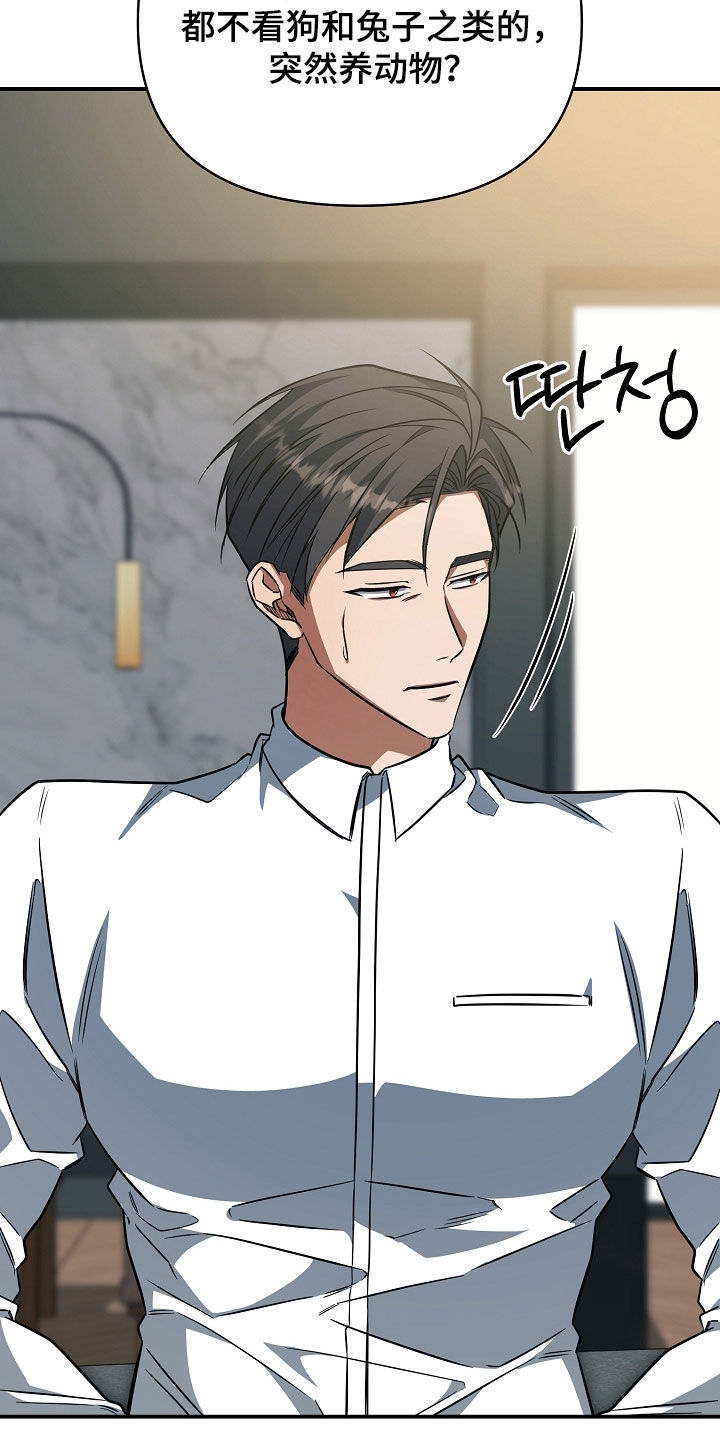 顶线犯规漫画,第68章：连胜2图