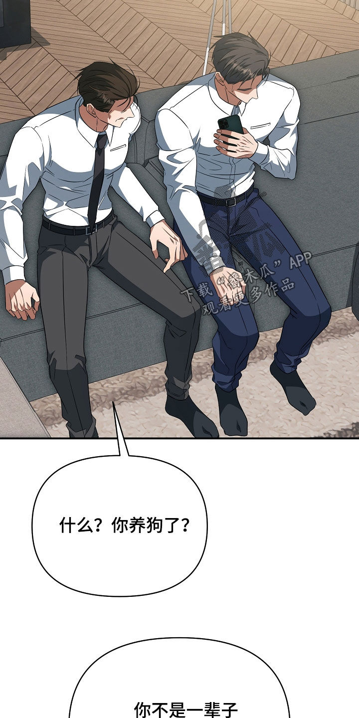 顶线犯规漫画,第68章：连胜1图
