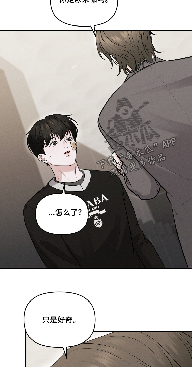 饥饿之都漫画,第37章：好漂亮3图