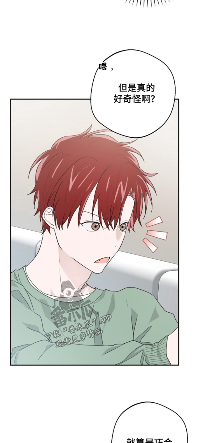 正确使用恋爱符漫画,第19章：都怪你2图