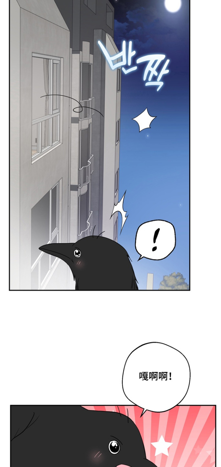 正确使用恋爱符漫画,第17章：我的钥匙4图