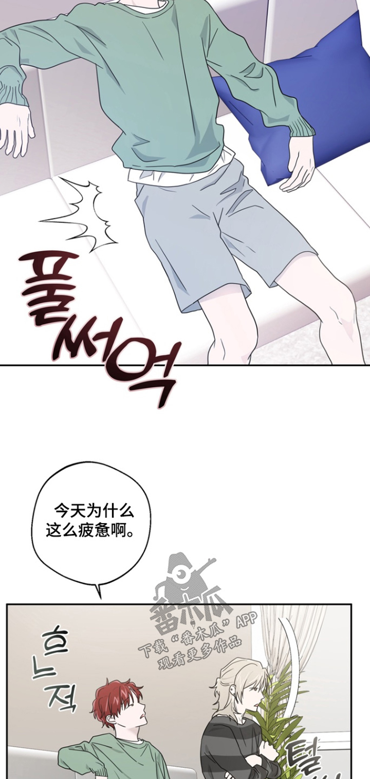 正确使用恋爱符漫画,第19章：都怪你3图