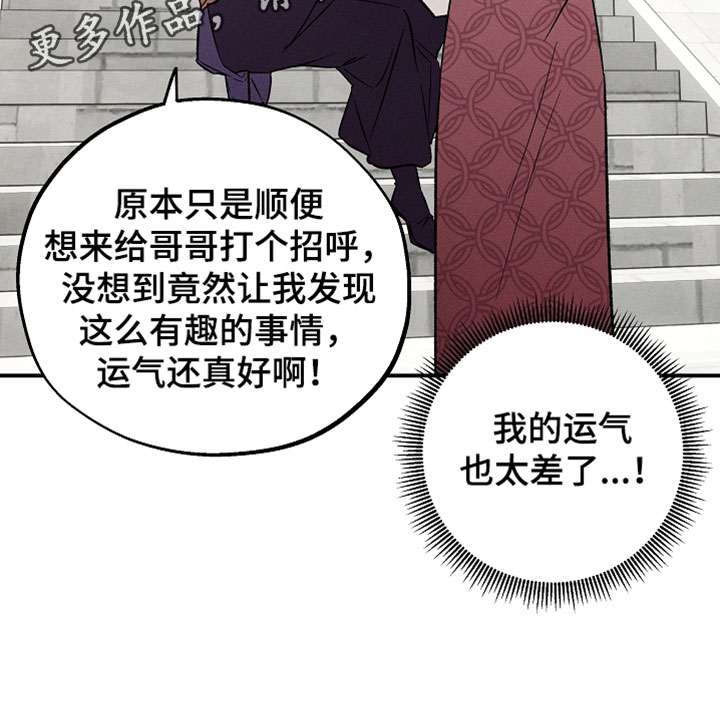 第29章：我的运气太差了3