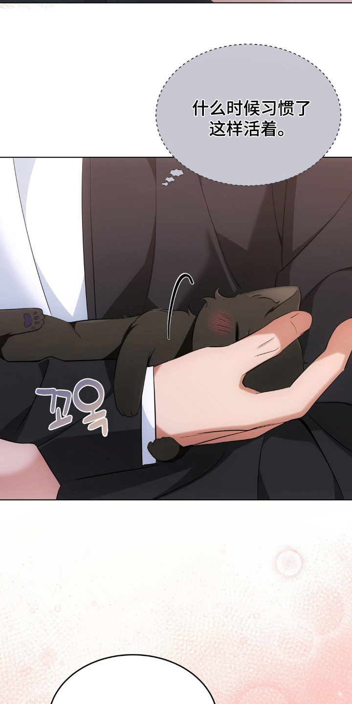 我的黑猫少年全集资源漫画,第33章：不如坦诚一点1图