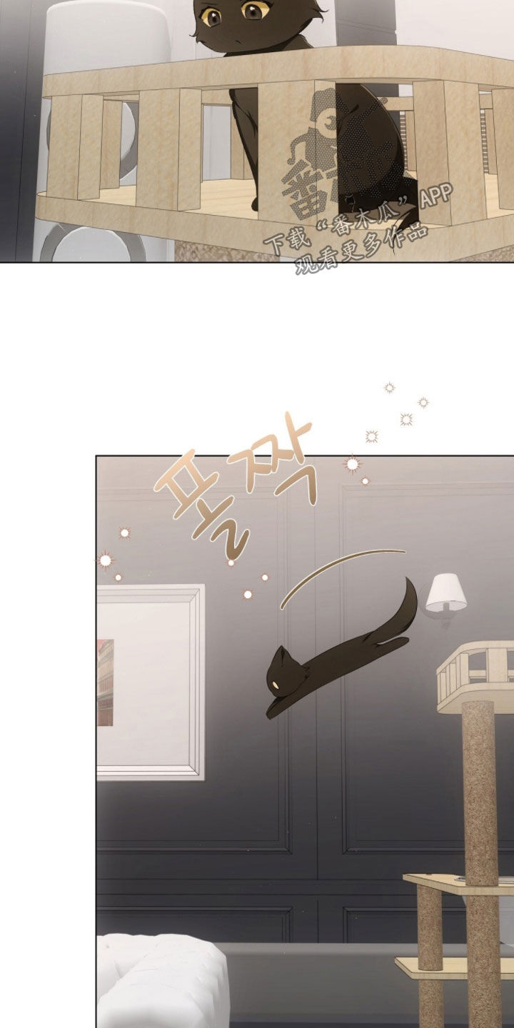 我的黑猫少年漫画,第28章：真想抓来吃掉2图