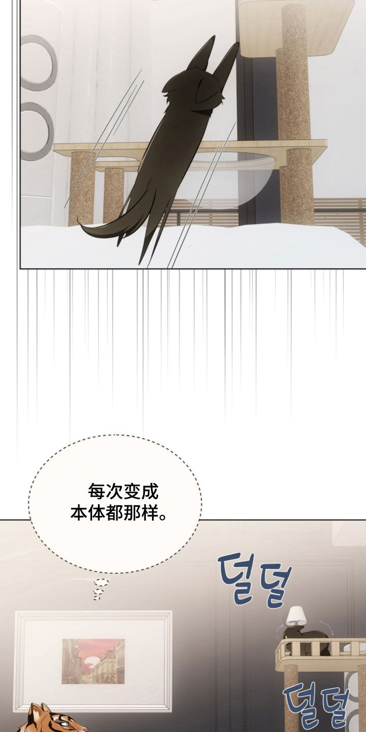 我的黑猫少年漫画,第28章：真想抓来吃掉4图