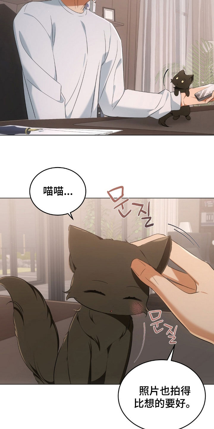 我的黑猫少年漫画,第25章：拍照5图