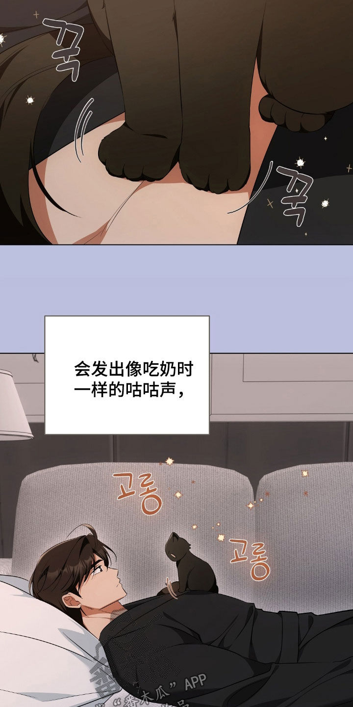 我的黑猫少年又叫什么漫画,第34章：广告邀约5图