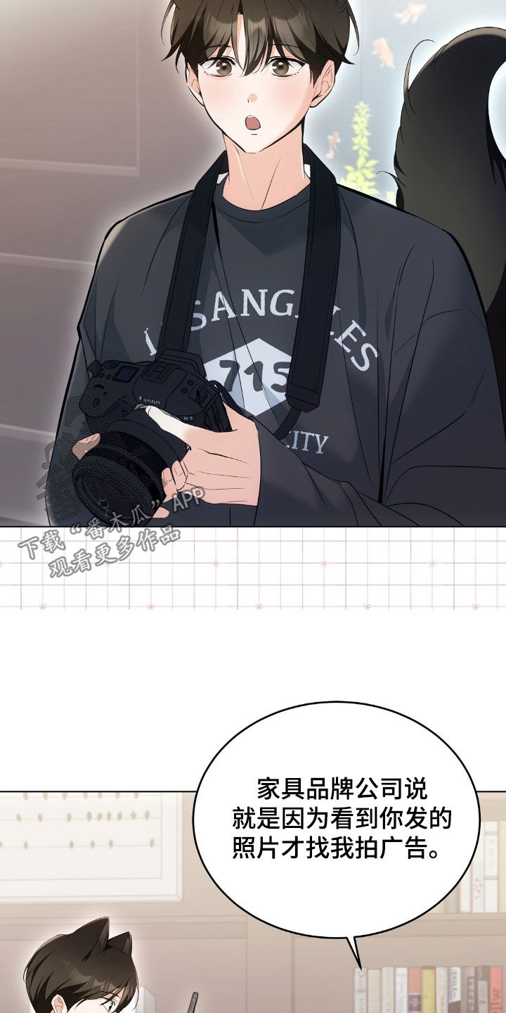 我的黑猫少年又叫什么漫画,第34章：广告邀约2图