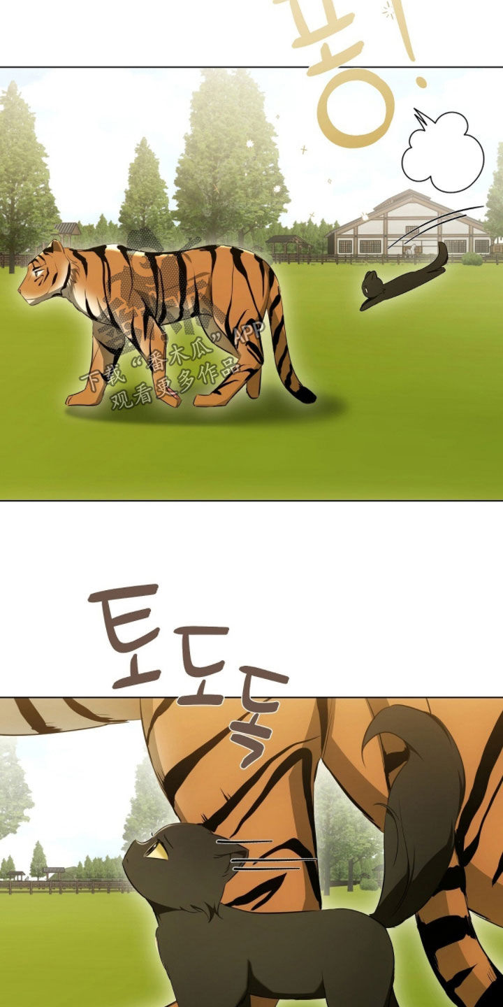 我的黑道生涯张啸天小说漫画,第29章：外出约会5图