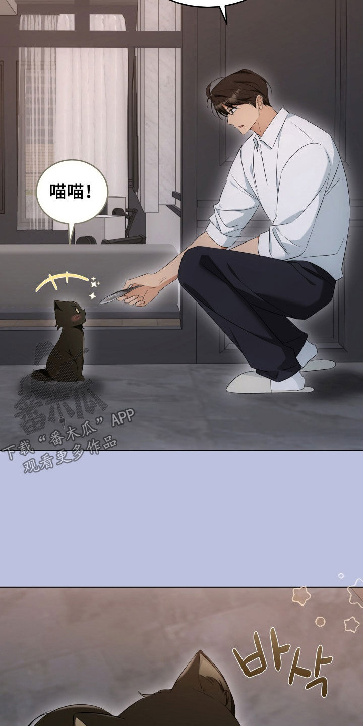 我的黑猫少年又叫什么漫画,第34章：广告邀约1图