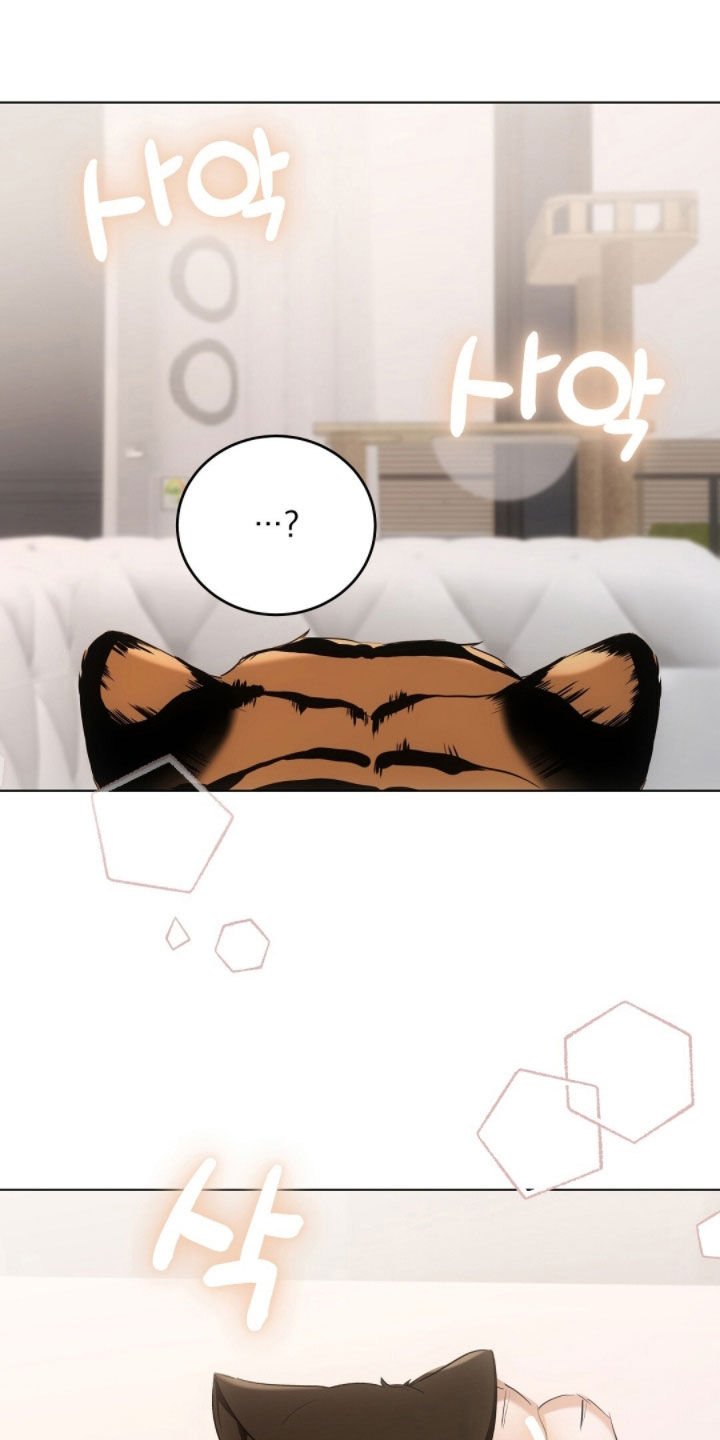 我的黑猫少年漫画,第28章：真想抓来吃掉3图