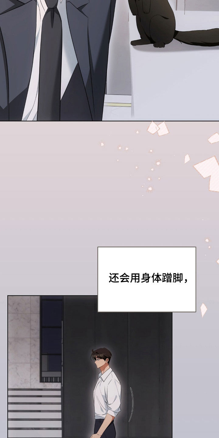 我的黑猫少年又叫什么漫画,第34章：广告邀约3图