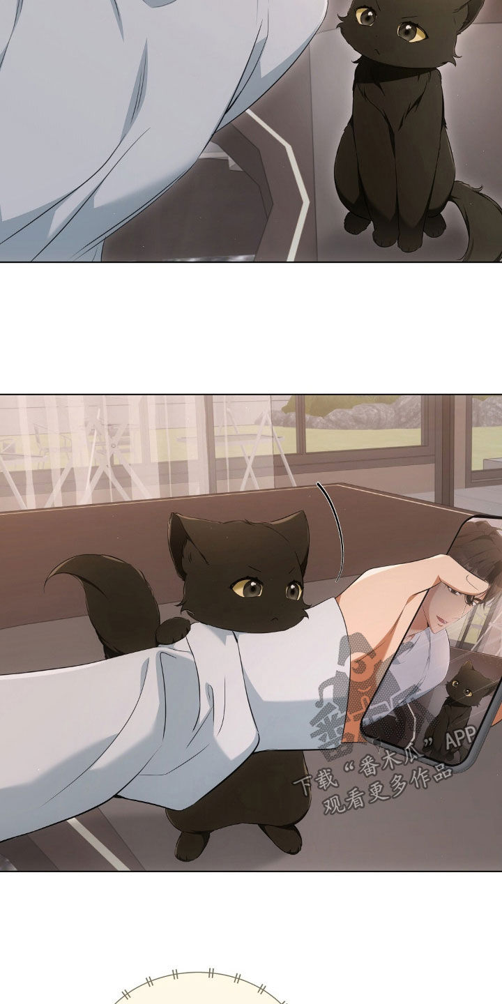 我的黑猫少年漫画,第25章：拍照3图