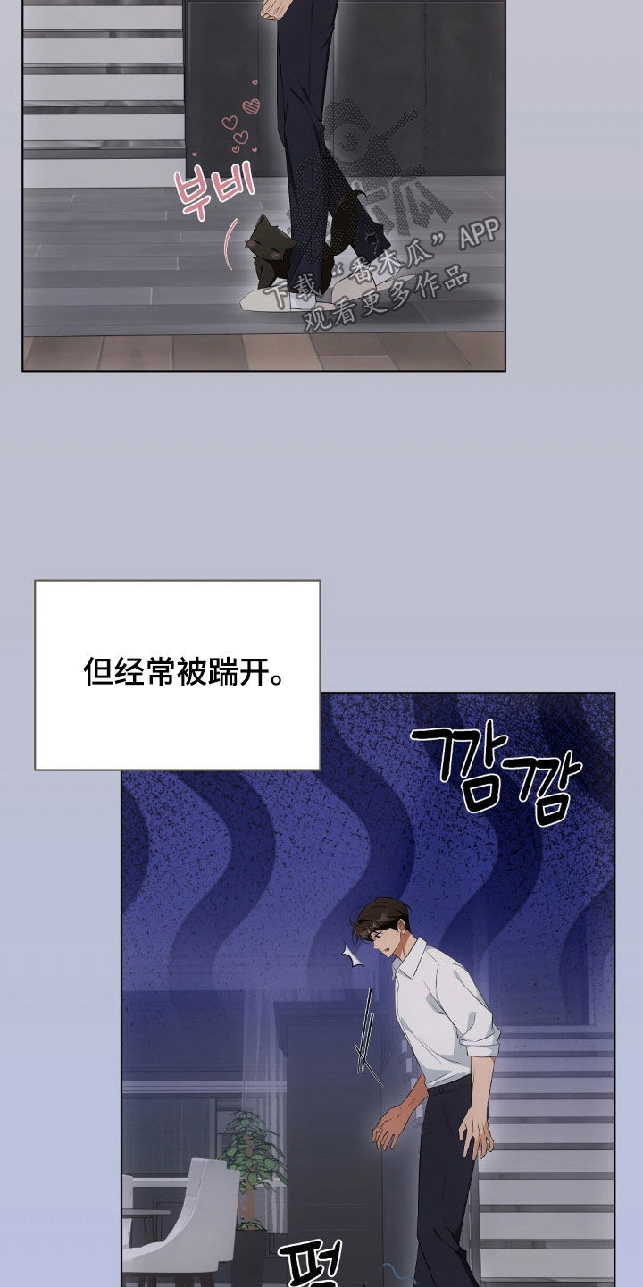 我的黑猫少年又叫什么漫画,第34章：广告邀约4图