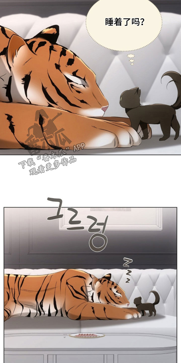 我的黑猫少年漫画,第28章：真想抓来吃掉4图