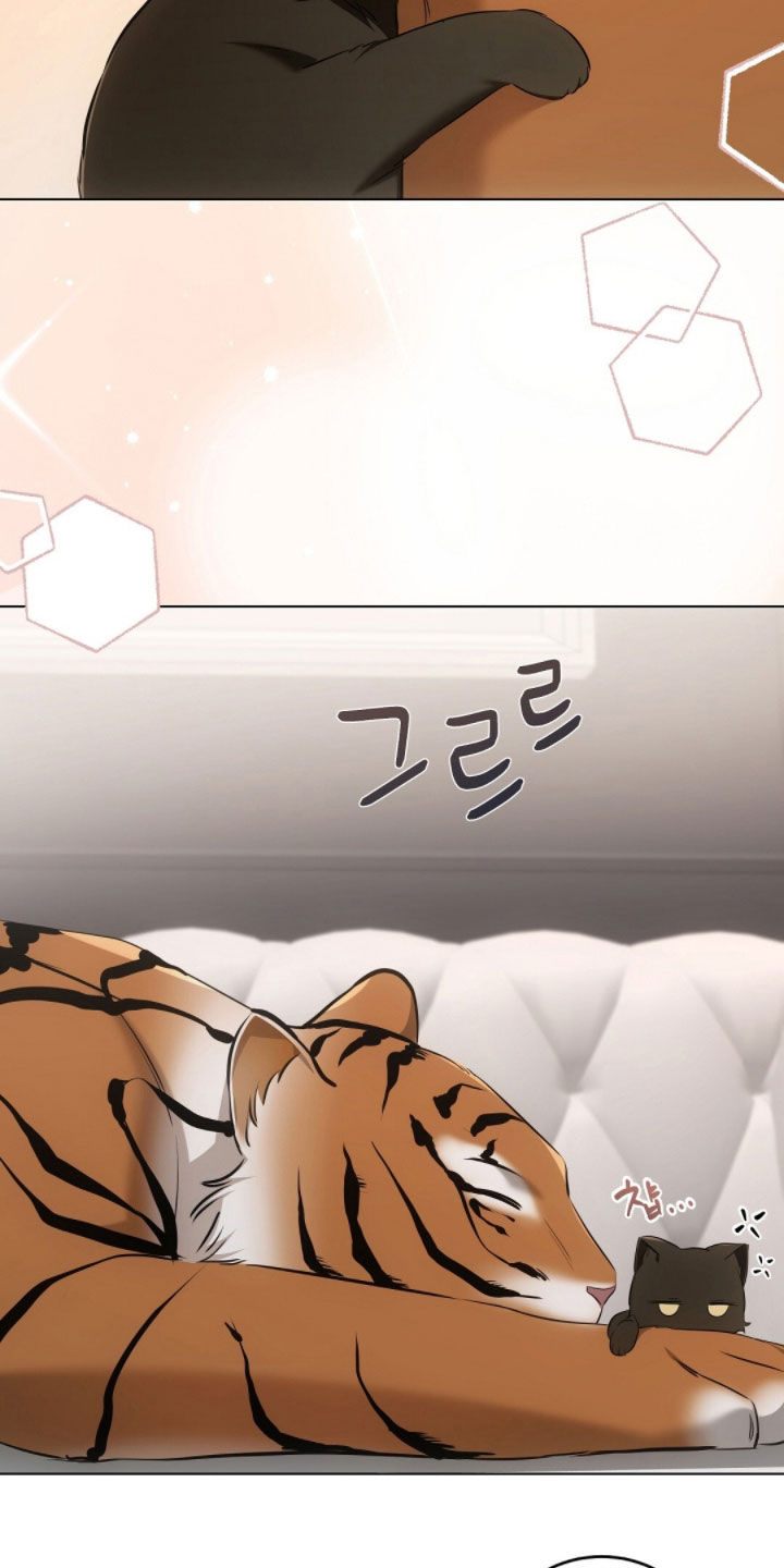 我的黑猫少年漫画,第28章：真想抓来吃掉5图