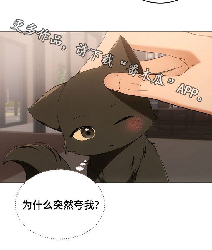 我的黑猫少年漫画,第25章：拍照1图