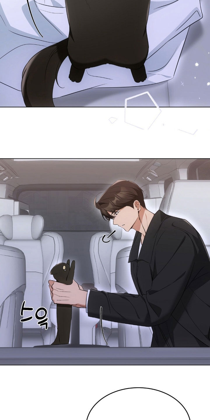 我的黑猫少年又叫什么漫画,第33章：不如坦诚一点2图