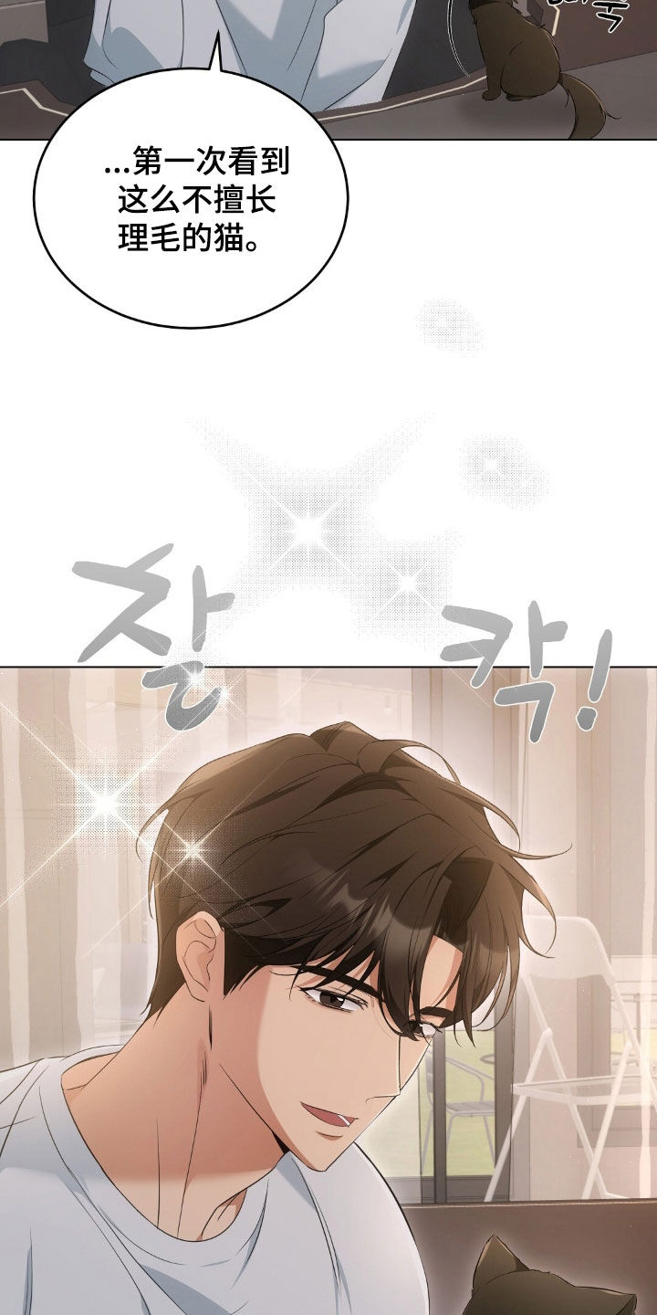 我的黑猫少年漫画,第25章：拍照2图