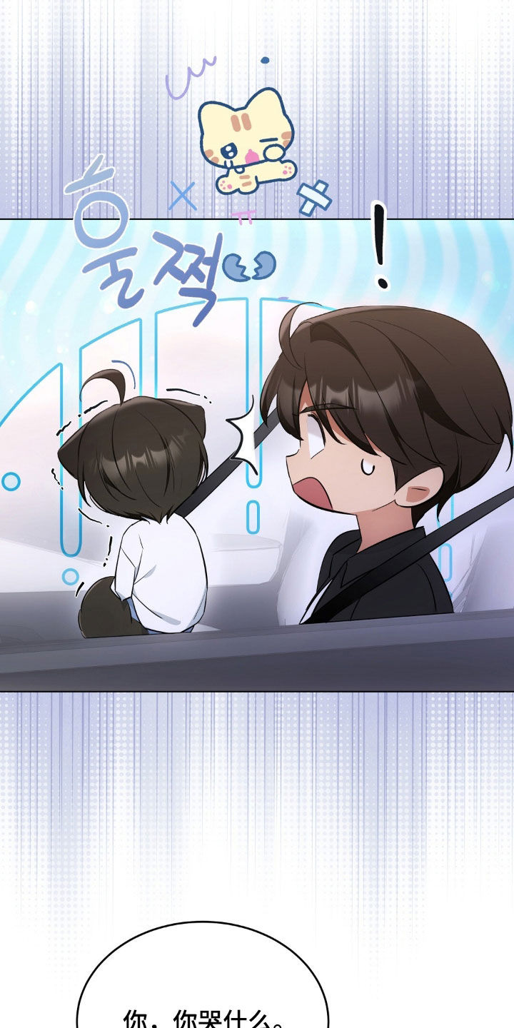 我的黑猫少年又叫什么漫画,第33章：不如坦诚一点2图