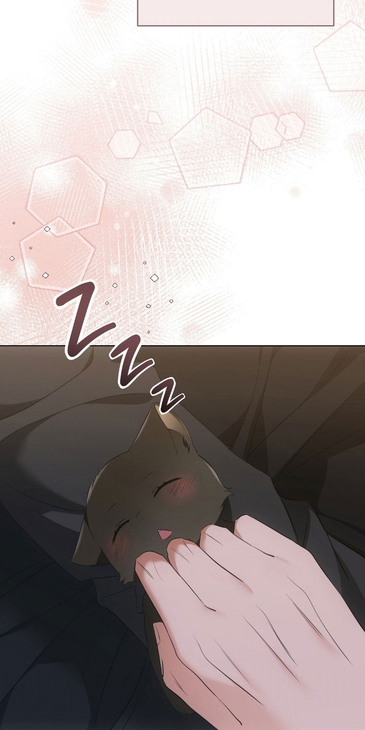 我的黑猫少年又叫什么漫画,第33章：不如坦诚一点5图