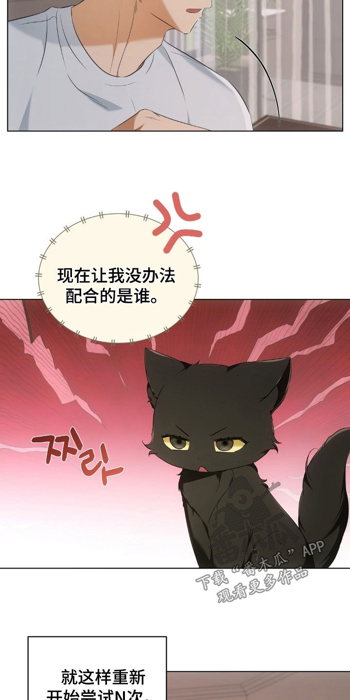 我的黑猫少年漫画,第25章：拍照3图