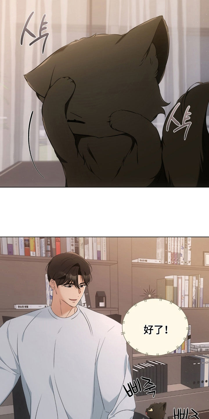 我的黑猫少年漫画,第25章：拍照1图