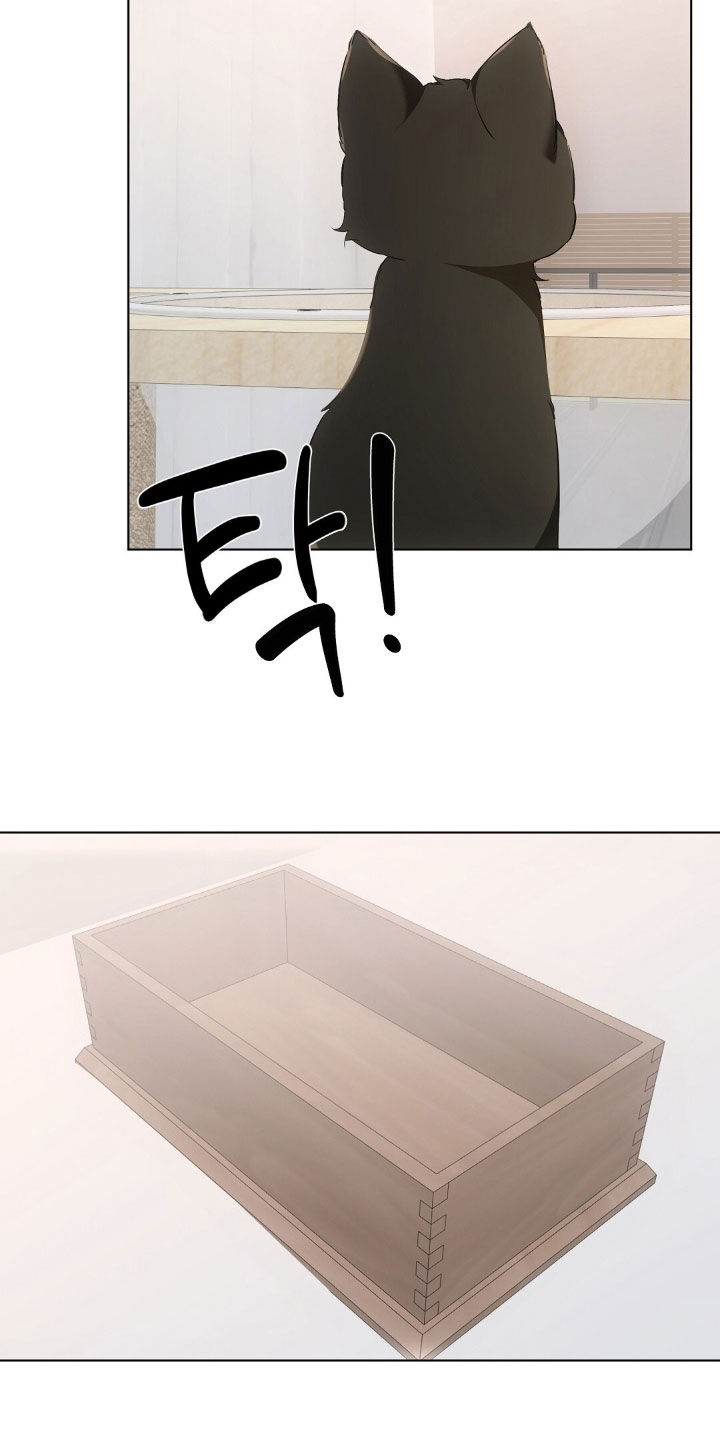 我的黑色小短裙漫画,第26章：真是幼稚5图