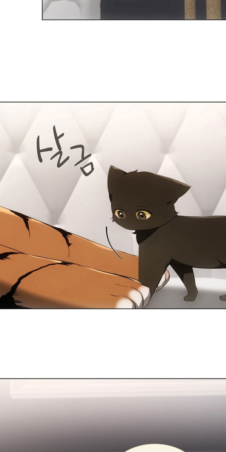 我的黑猫少年漫画,第28章：真想抓来吃掉3图