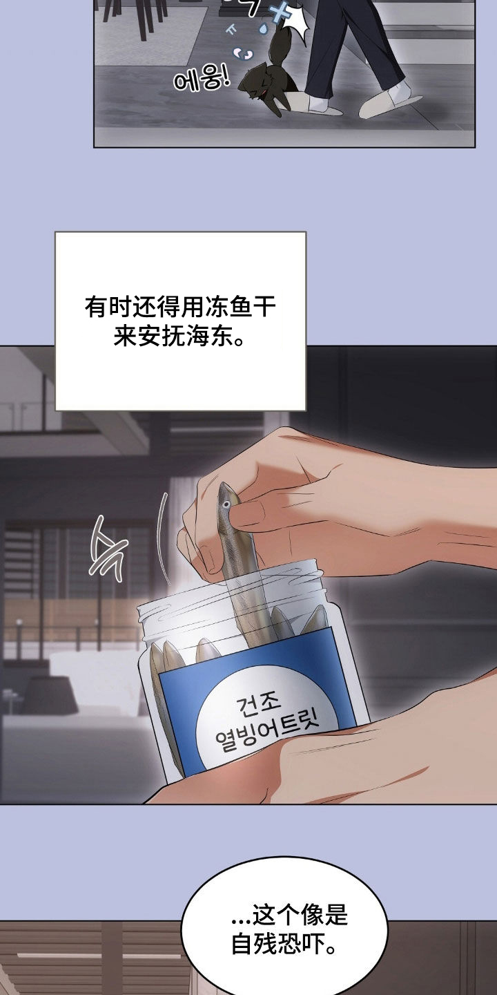 我的黑猫少年又叫什么漫画,第34章：广告邀约5图