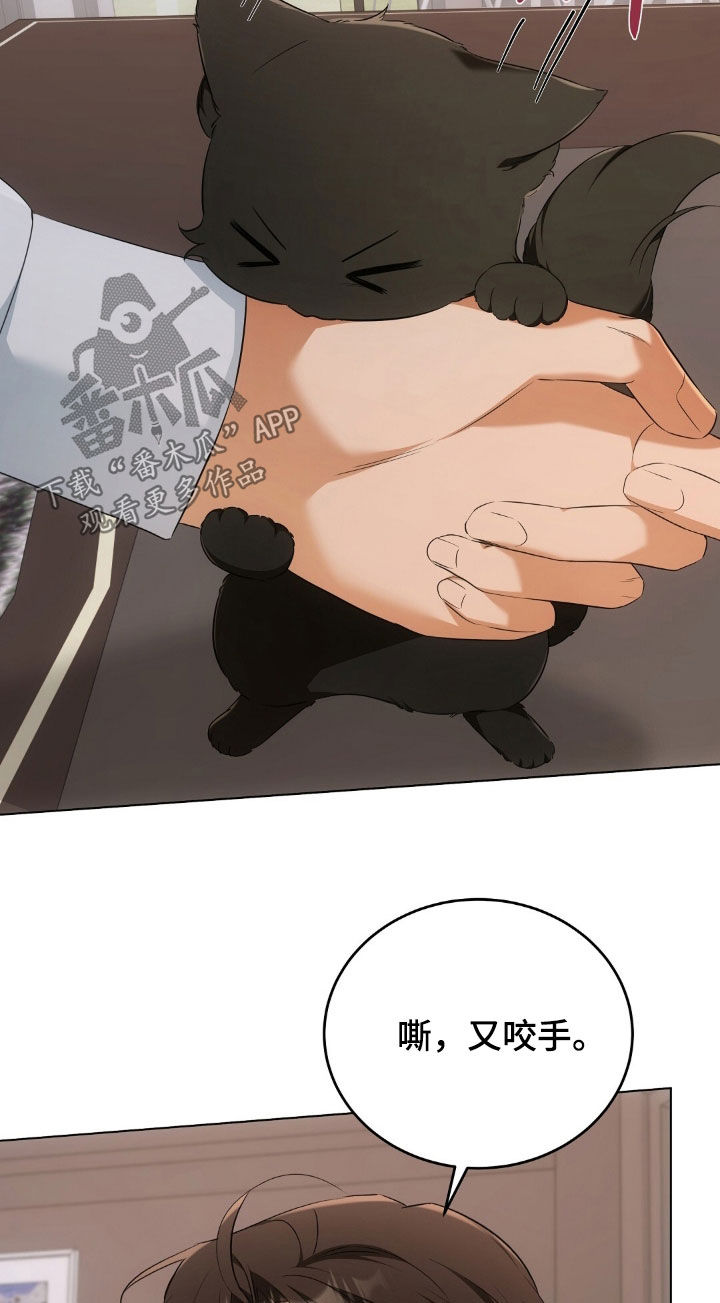 我的黑猫少年漫画,第25章：拍照1图