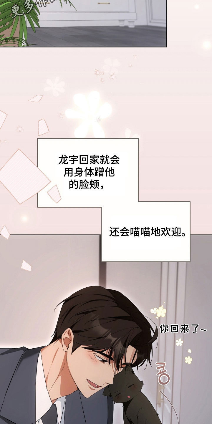 我的黑猫少年又叫什么漫画,第34章：广告邀约2图