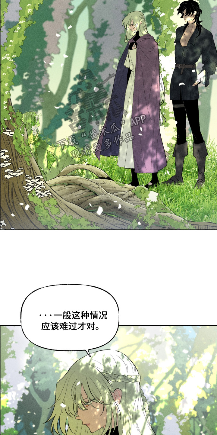 魔法师之骸精彩片段漫画,第26章：我们会的5图