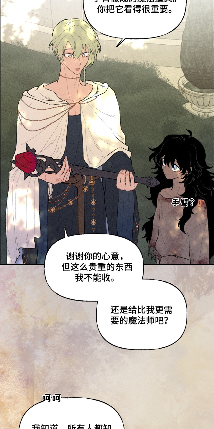 魔法师之骸精彩片段漫画,第25章：要去看看3图