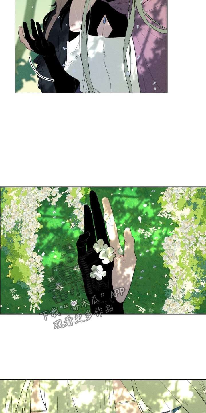 魔法师学院漫画,第26章：我们会的5图