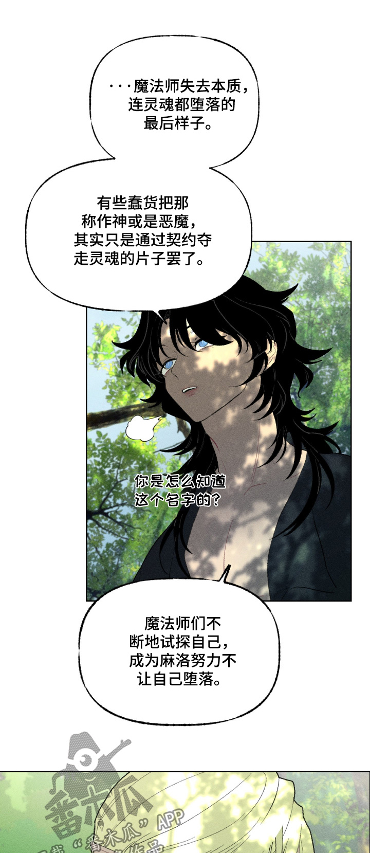 魔法师之骸精彩片段漫画,第26章：我们会的1图