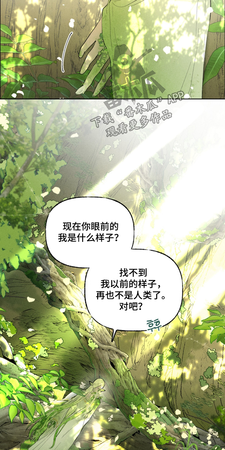 魔法师之骸精彩片段漫画,第26章：我们会的3图