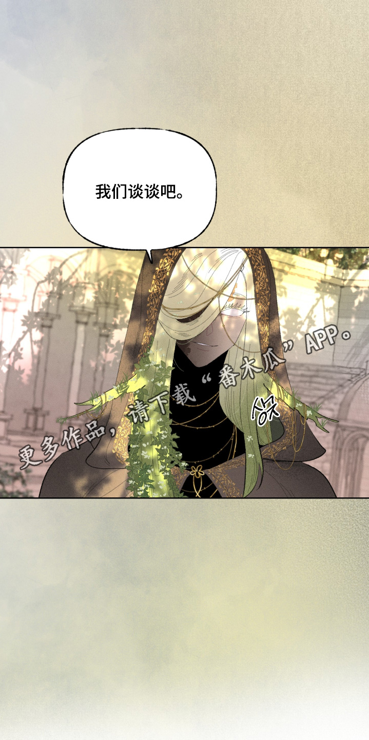 魔法师之恋芭蕾舞剧照片漫画,第24章：我们谈谈吧2图