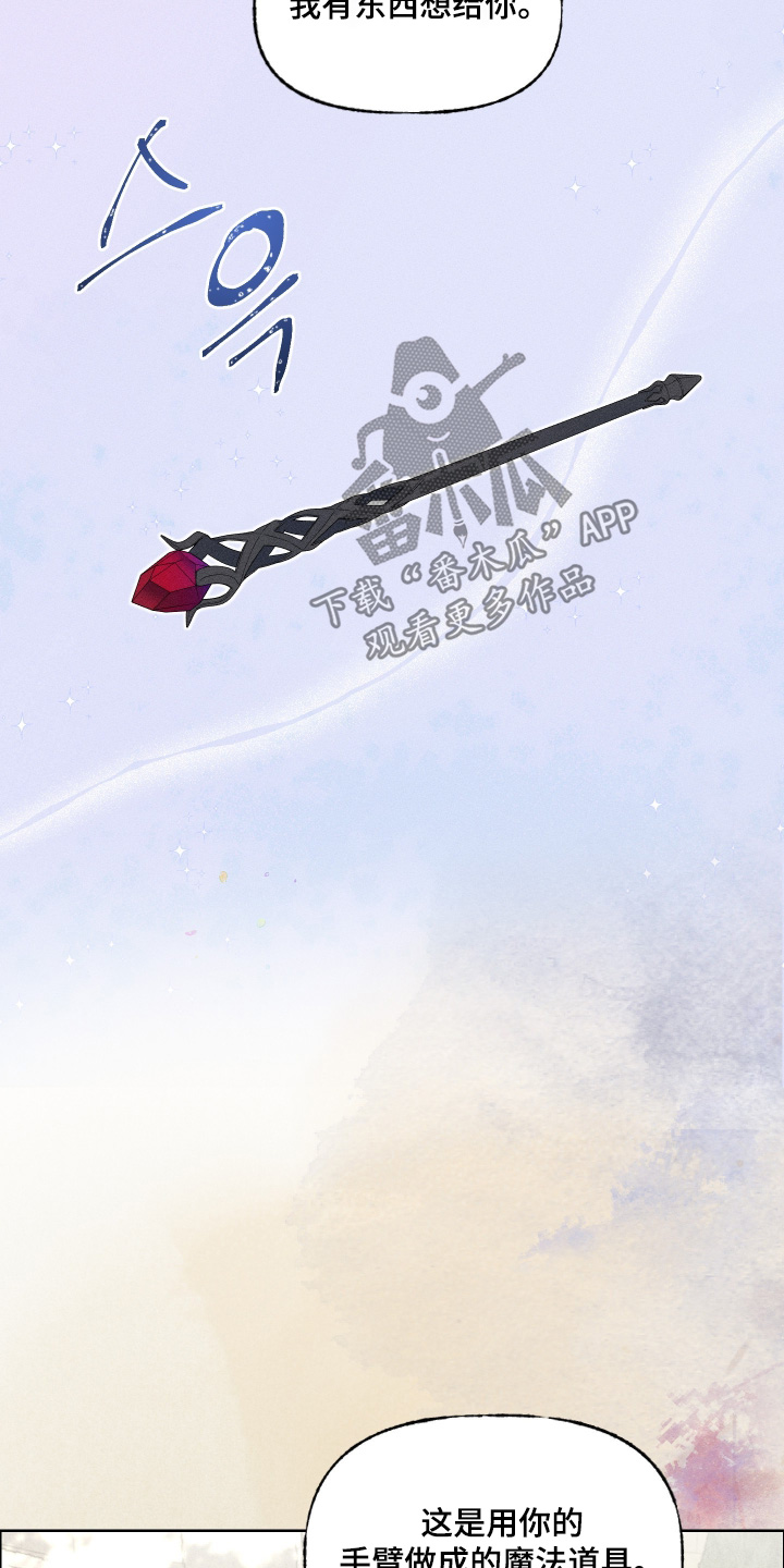 魔法师之骸精彩片段漫画,第25章：要去看看2图