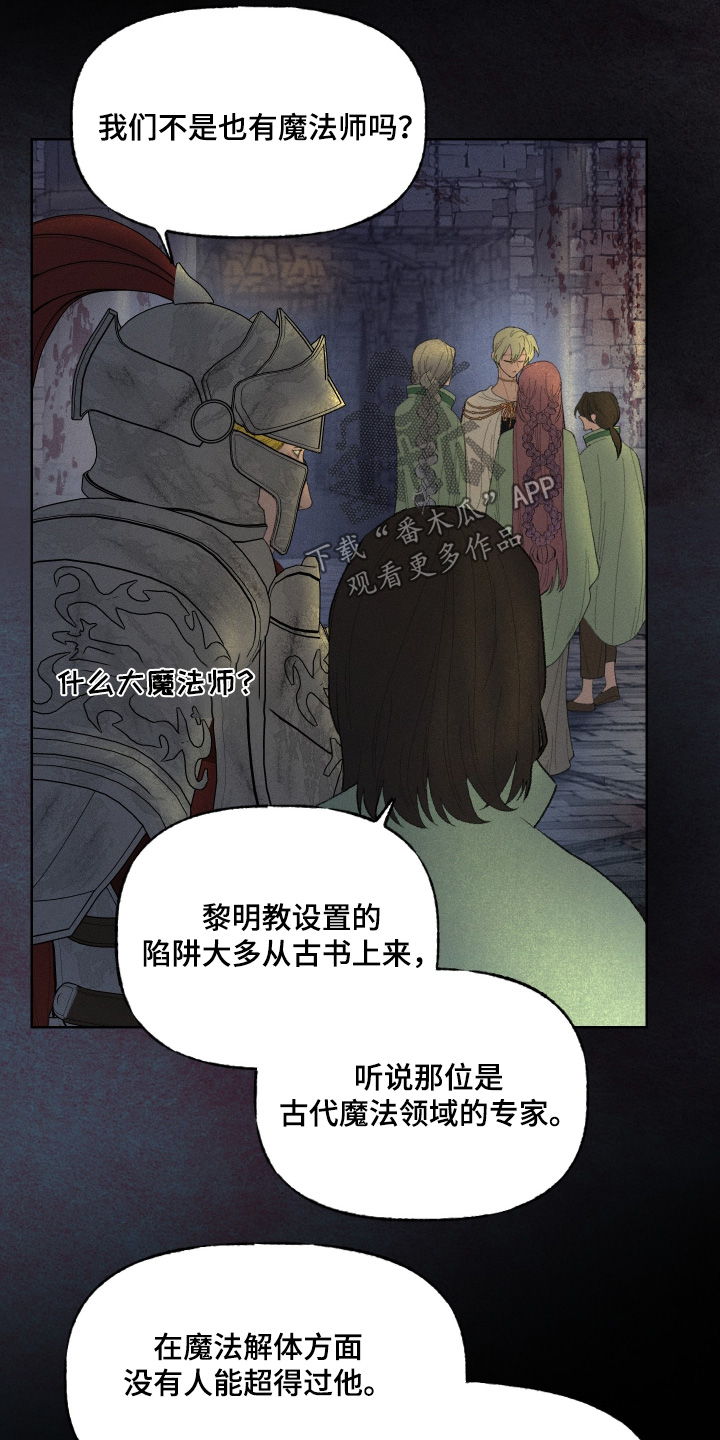 魔法师之恋芭蕾舞剧照片漫画,第23章：小孩5图