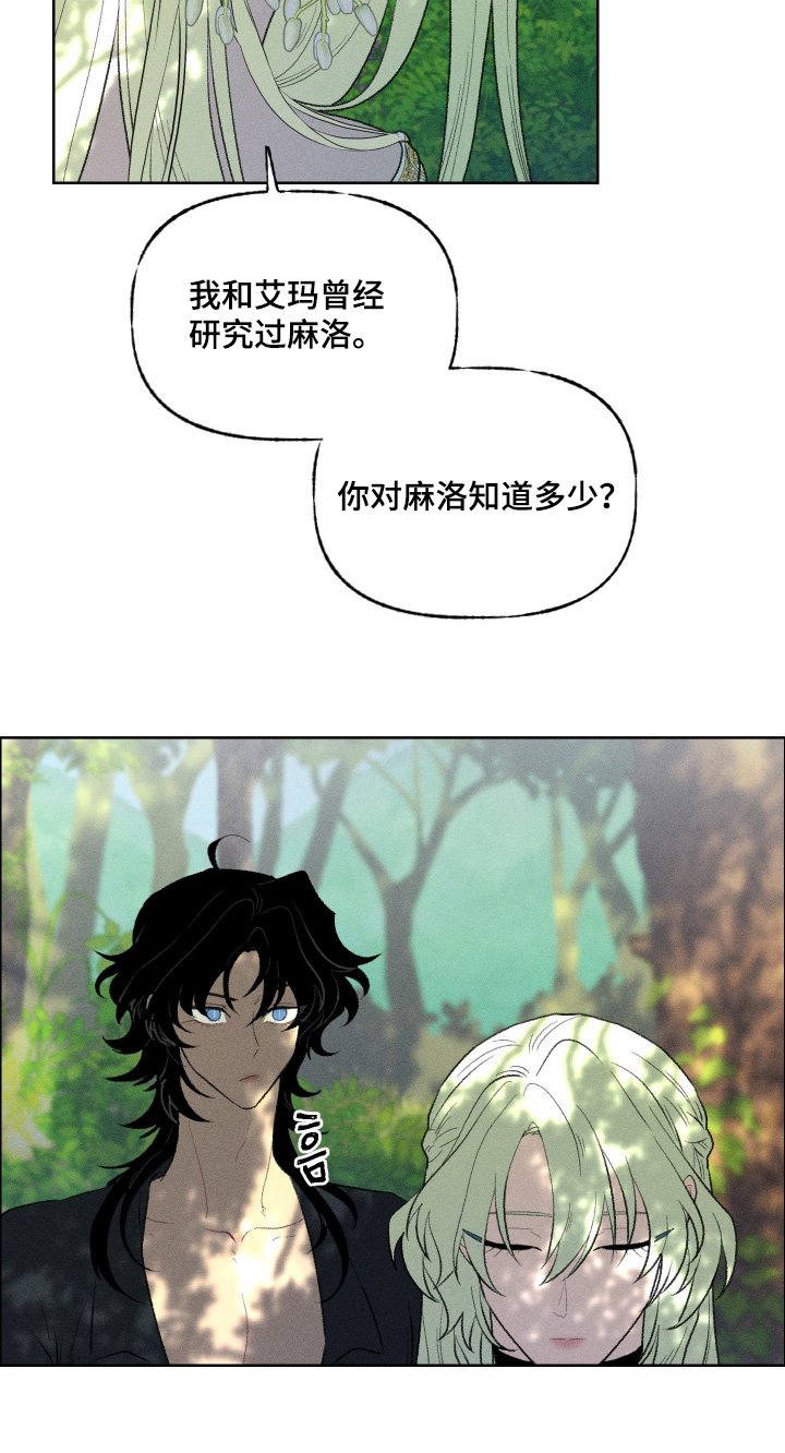 魔法师学院漫画,第25章：要去看看3图