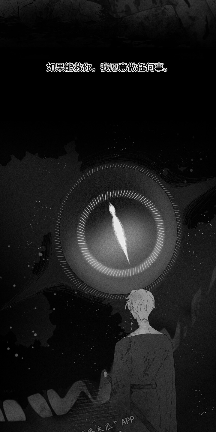 魔法师之恋芭蕾舞剧照片漫画,第21章：流鼻血2图