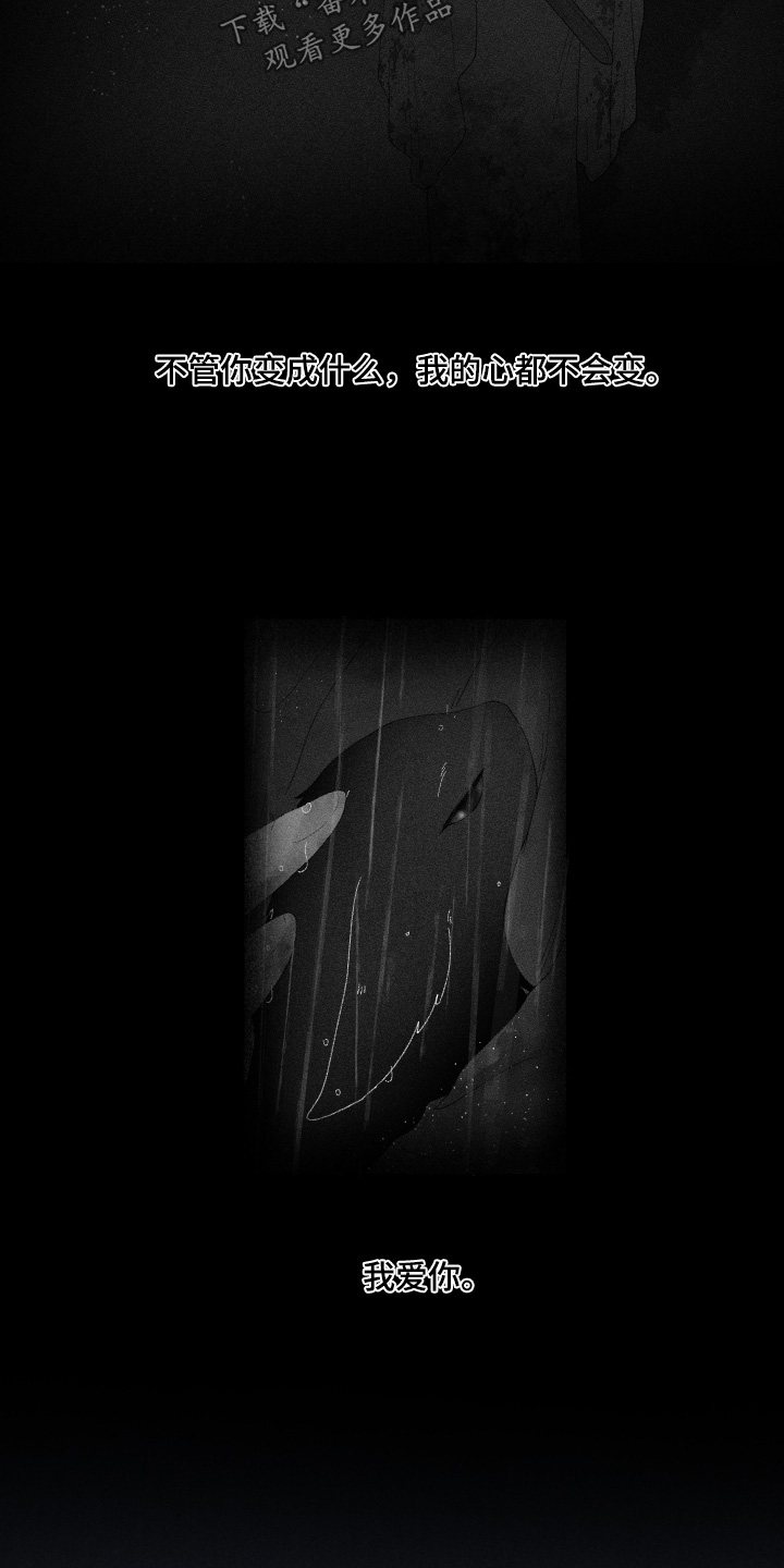 魔法师之恋芭蕾舞剧照片漫画,第21章：流鼻血3图